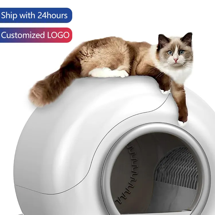 Автоматична коробка для котячих коробки смарт -додатки